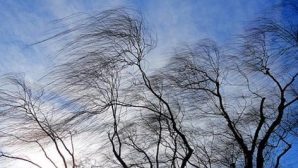 В Хакасии ожидается шквалистый ветер до 23 км/ч