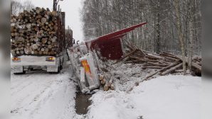 В Турочакском районе ужасное ДТП унесло жизнь водителя лесовоза
