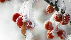 В выходные холод, в понедельник снег — прогноз погоды в Удмуртии