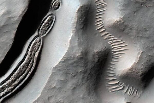 Обнаруженные на Марсе странные образования не могут объяснить ученые