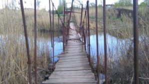 Ростовчане шокированы состоянием пешеходного моста через Темерник у зоопарка