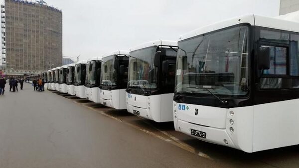 Власти Ростова-на-Дону подали массовые иски на автобусных перевозчиков