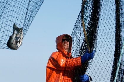 Американские рыбаки пожаловались на потери из-за санкций России