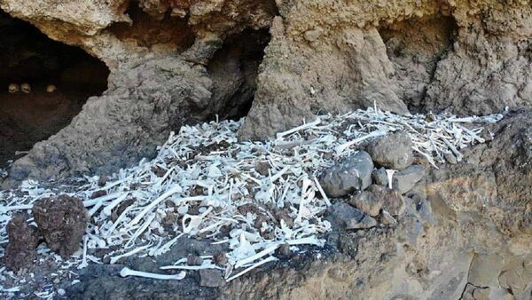 На Канарах археологи обнаружили захоронение вымершей цивилизации с 72 мумиями