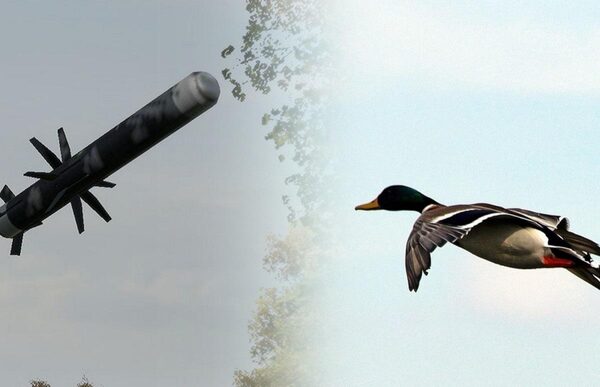 В Польше на учениях птица сбила летящую в танк американскую ракету