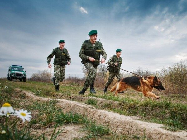 На Украине пограничники спустили собак на наблюдателей ОБСЕ