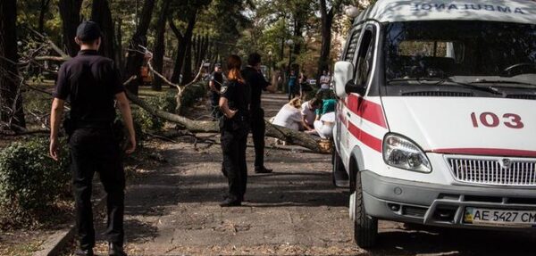 В Днепре упавшая ветвь дерева убила девушку