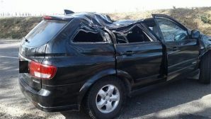 В Крымском районе упавший тополь раздавил автомобиль и убил водителя