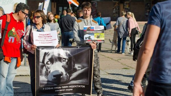 В Омске прошла масштабная акция зоозащитников