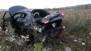 Автоледи погибла в страшной аварии на трассе в Курганской области