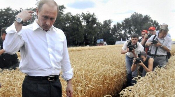 Путин: В этом году в России ожидается рекордный урожай зерновых