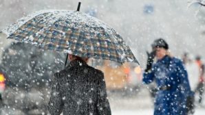 Снег, метель и гололед ждут 1 ноября в Рязанской области