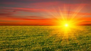 Солнечный свет стал ярче для человеческого глаза? — ученые