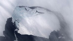 Спутники засняли гигантский айсберг, размером с Эстонию