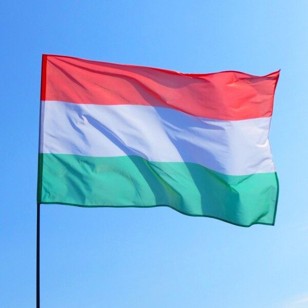 В Венгрии требуют отделения Закарпатья от Украины