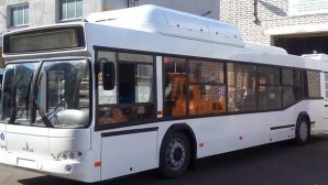 Власти Ростова для жителей купят электробус