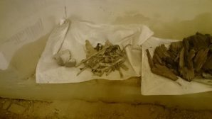 Во время ремонта старинного храма в Воронеже нашли останки девочки