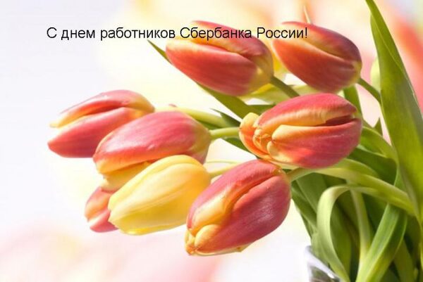 Анимационные поздравления с Днем работников Сбербанка России 12 ноября 2017 года