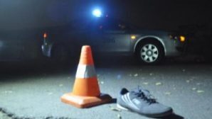 На трассе в Марий Эл водитель сбил пешехода? насмерть