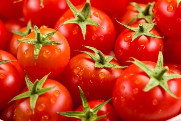 Турецкая компания Agrobay поставила первую партию томатов в Россию
