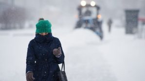 В конце ноября Алтайский край ожидают экстремальные морозы и северный ветер
