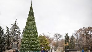 В Ростове-на-Дону завершают монтаж главной городской елки
