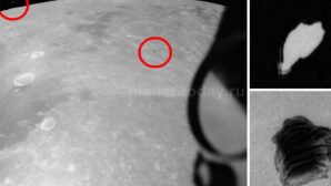Виртуальный уфолог нашел гигантский НЛО на снимках лунной миссии «Аполлон»