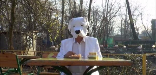 Директор одесского зоопарка записал поздравление в костюме собаки
