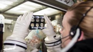 Эксперты выяснили, какие бактерии живут на борту МКС