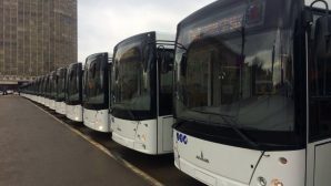 Новые автобусы у ЧМ-2018 презентовали на Театральной площади