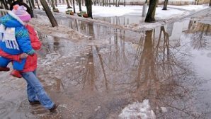 Синоптики: выходные в Воронежской области станут аномально теплыми
