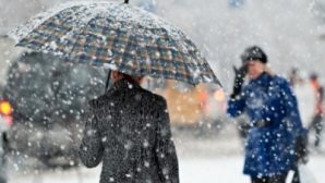 Снег и мороз обещают синоптики жителям Воронежа на новой неделе