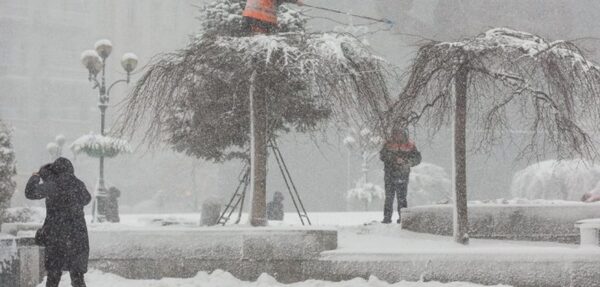 В Киеве из-за снегопада падают деревья