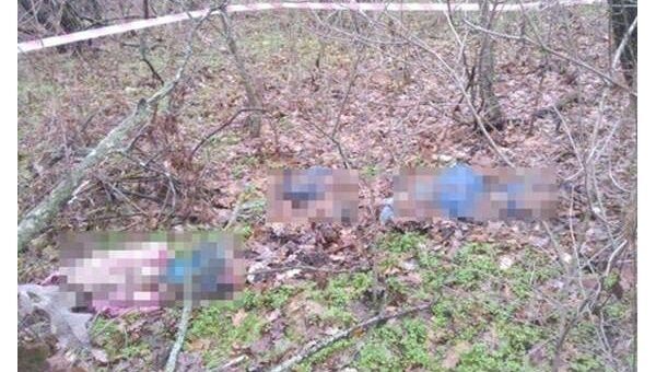 В Одесской области найдены останки женщины и двоих детей — ужасная находка