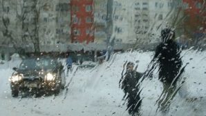 Воронеж зальет дождями в первые зимние выходные — синоптики