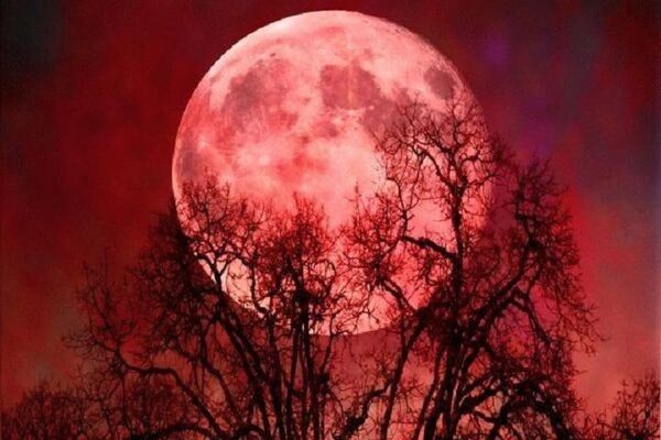 Кровавая Луна появится над Землей: в последний день января произойдет необычное совпадение трех астрономических явлений