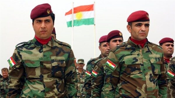 Курды попросили Сирию защитить границу от вторжения Турции