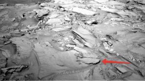 Учёные нашли на Марсе окаменелые организмы