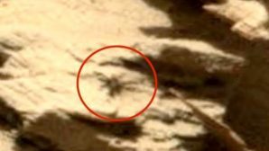 Уфологи обнаружили огромного паука на снимках Марса