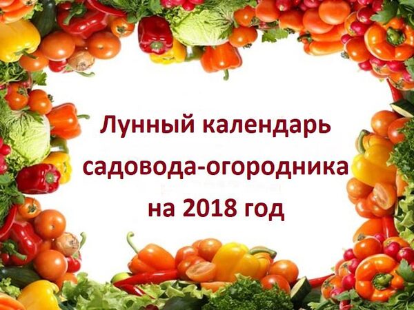 Лунный календарь садовода и огородника на март 2018: таблица благоприятных дней для посадки рассады