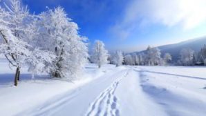 Мороз до минус 15 градусов и снег ожидаются в Ленобласти — синоптики