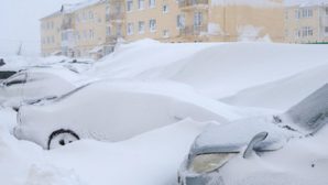 Мощный снежный циклон? приближается к берегам Камчатки — синоптики