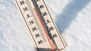 На Камчатке зафиксировали температурный рекорд за 50 лет