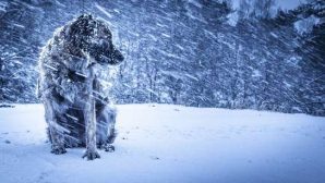 На Сахалин вновь обрушится снег, сильный ветер и мороз до -33°