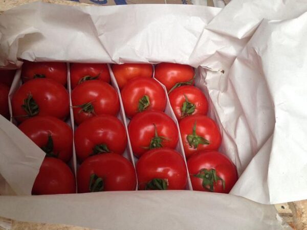На Ставрополье изъяли почти тонну санкционных томатов