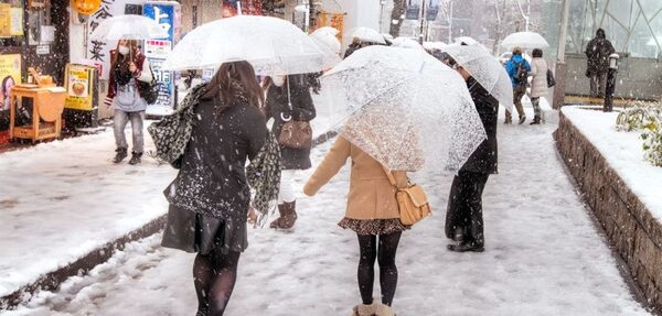 В Японии 15 человек погибли из-за снегопадов