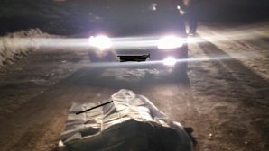 Автоледи насмерть сбила пенсионера, присевшего на дорогу в Мордовии