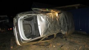 На Кубани водитель-лихач влетел в дерево и погиб