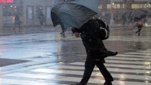 Синоптики: в Приамурье идет дождь и сильный ветер