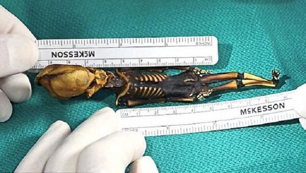 Тайна «гуманоида из Атакамы» раскрыта: ученые расшифровали ДНК маленькой мумии